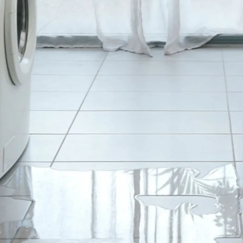 Appliance Leak Cleanup in Fenton, MI