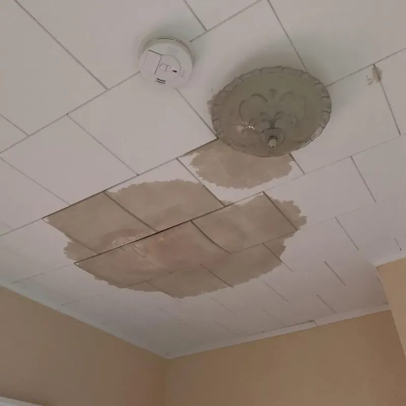 Ceiling Water Damage Repair in Fenton, MI