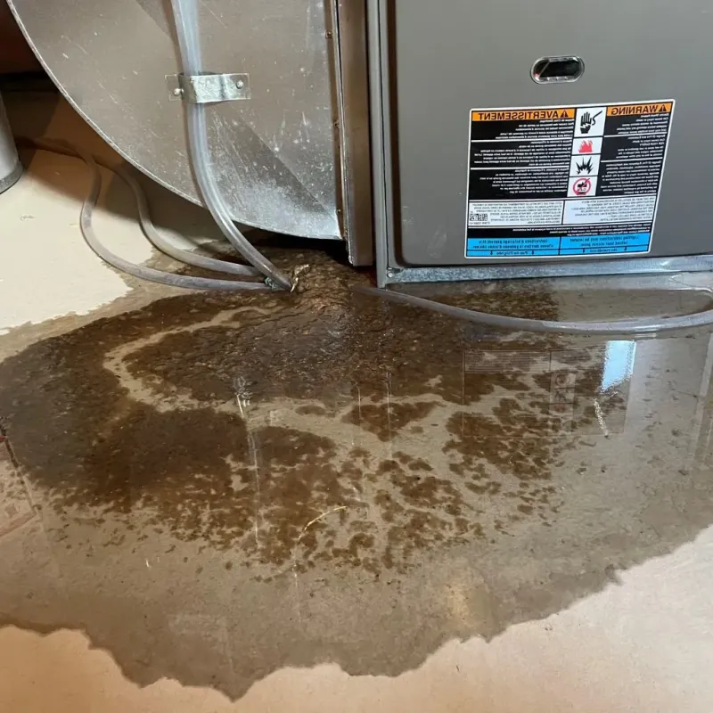 Pipe Burst and Leak Restoration in Fenton, MI