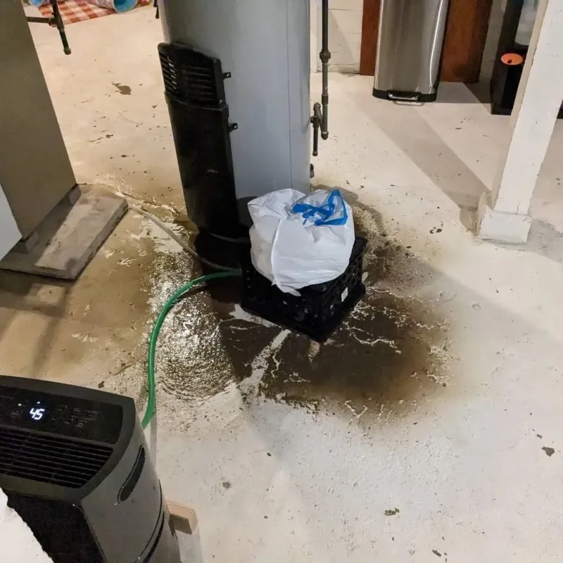 Sewage Backup Cleanup Service in Fenton, MI